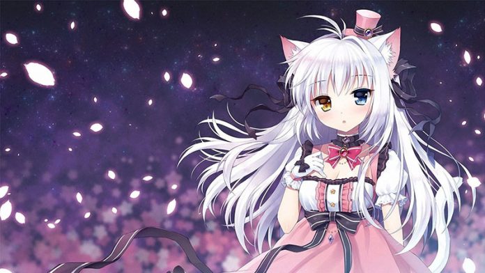 Top 25+ Best Cute Anime Cat Girls Of All Time