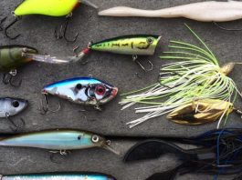 Chọn Mồi Câu Cá Nhật Bản | Trở thành cao thủ câu cá dễ dàng Chon-Moi-Cau-Ca-Nhat-Ban-