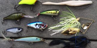 Chọn Mồi Câu Cá Nhật Bản | Trở thành cao thủ câu cá dễ dàng Chon-Moi-Cau-Ca-Nhat-Ban-