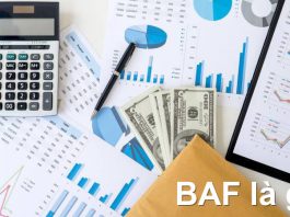 Phí BAF là gì? Phân biệt phí BAF với phí CAF trong vận chuyển baf là gì