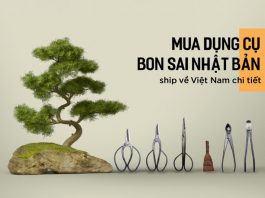 Dụng cụ bonsai Nhật hàng bãi – lựa chọn của người nghệ nhân mua-dung-cu-bon-sai-nhat-ban