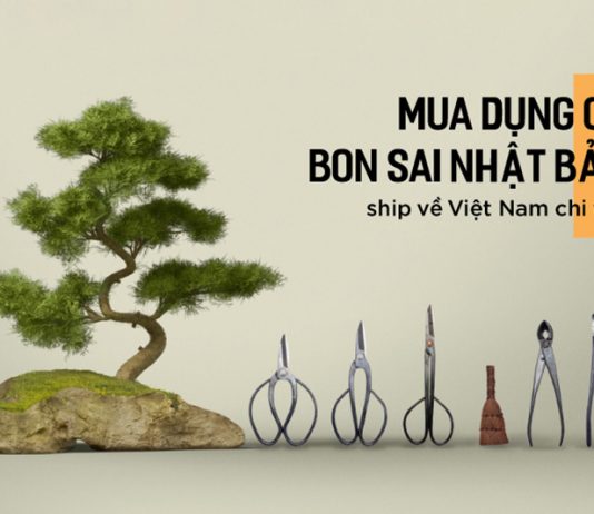 Dụng cụ bonsai Nhật hàng bãi – lựa chọn của người nghệ nhân mua-dung-cu-bon-sai-nhat-ban