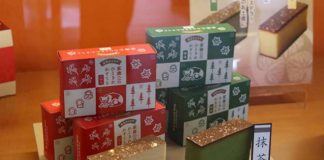 Top 11 must-buy Nikko souvenirs from Japan is-nikko-worth-visiting