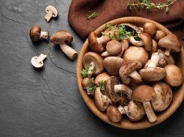 Tác dụng của nấm đông cô Nhật Bản và địa chỉ mua uy tín nấm đông cô khô nhật bản