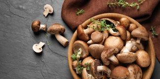 Tác dụng của nấm đông cô Nhật Bản và địa chỉ mua uy tín nấm đông cô khô nhật bản