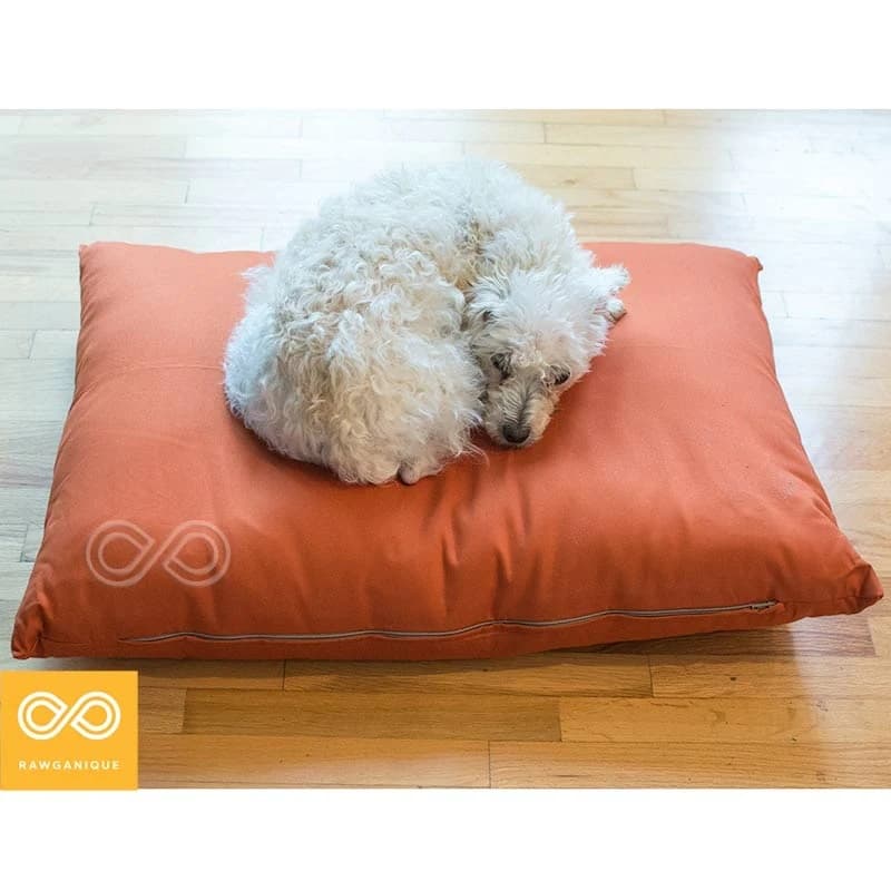 eco-friendly-dog-beds