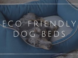 15 best eco-friendly dog beds in 2022 eco-friendly dog beds