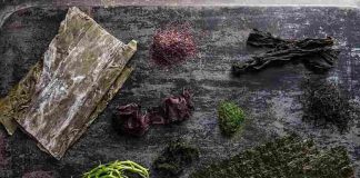 10 common types of Japanese seaweed types-of-japanese-seaweed