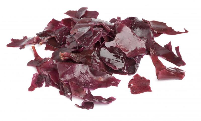 types-of-japanese-seaweed-dulse