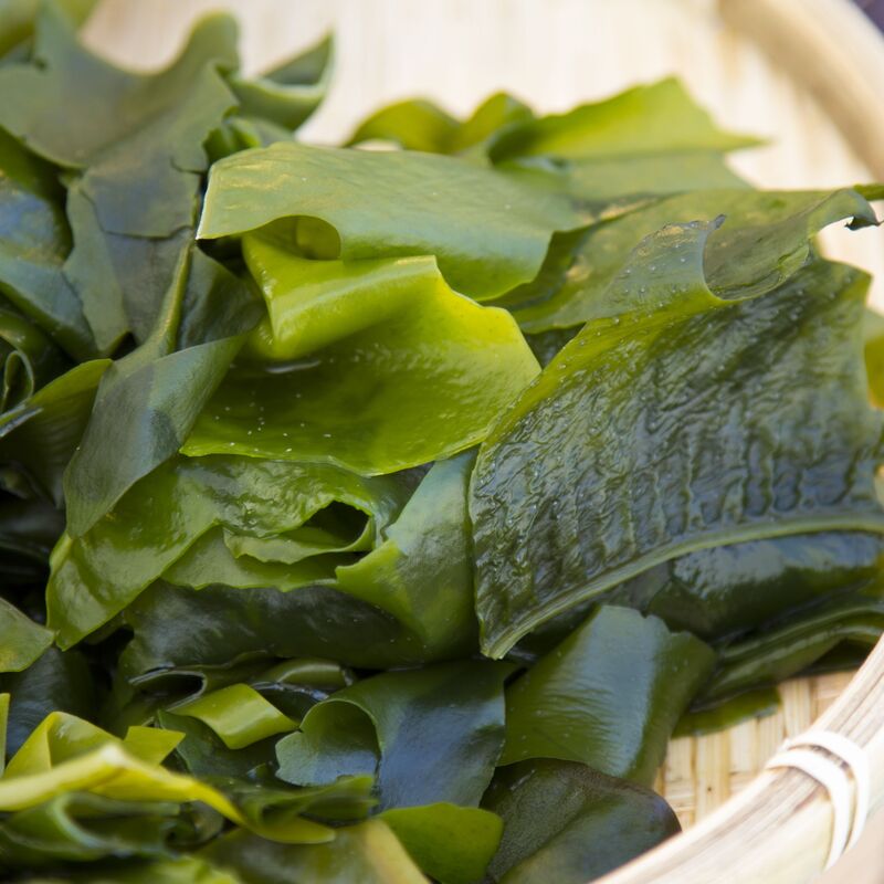 types-of-japanese-seaweed-wakame