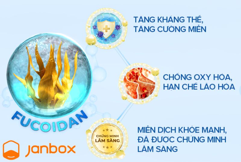 Cong-dung-Fucoidan-Nhat-Ban